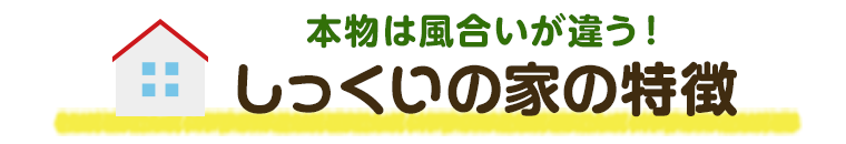 本物は風合いが違う！しっくいの家の特徴