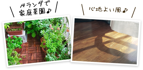 写真イメージ