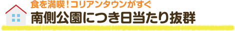 食を満喫！コリアンタウンがすぐ。南側公園につき日当たり抜群