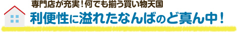 利便性に溢れたなんばのど真ん中