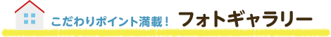 フォトギャラリー
