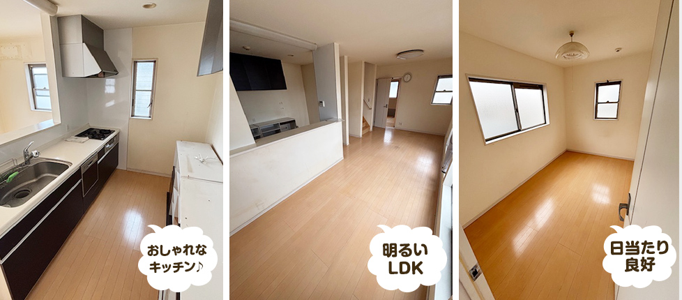 フォトギャラリー