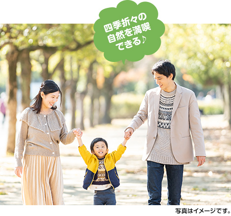 イメージ写真